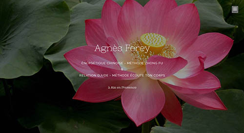 Site d'Agnès Ferey
